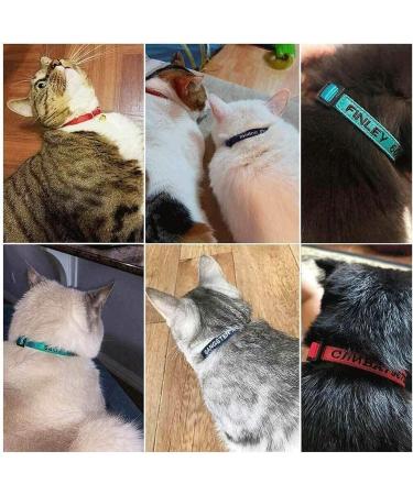 Personalized Black Cat Neck Bands with Bell | Custom Embroidered ID & Safety Buckle for Cats - Buy Online on GoSupps.com
