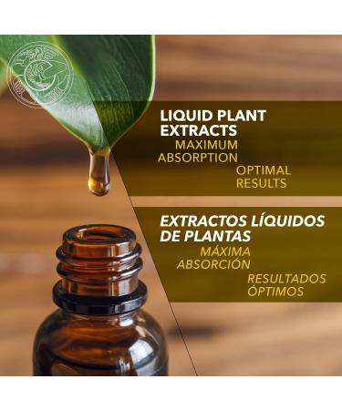 Herb Emporium Cancerina Herbal (hyppocratea excelsa) Extract 1 fl oz - Buy Online on GoSupps.com