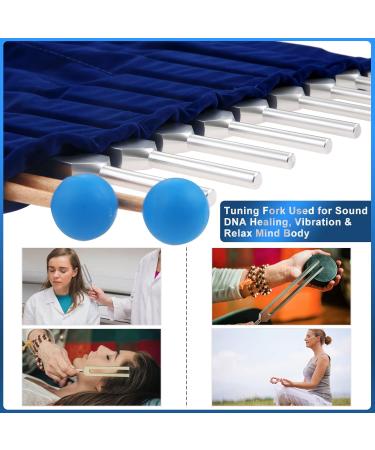 Dreld 9 Solfeggio Tuning Forks Kit Healing Forks with Silicone Hammer and Bag for DNA Repair Healing Sound Therapy Perfect Healing Musical Instrument Balancing Healers Vibration Silver - Buy Online on GoSupps.com