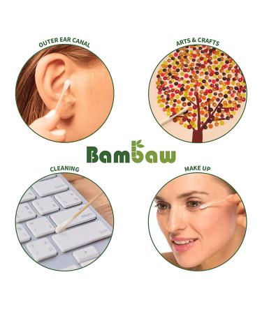 800 Bamboo Cotton Swabs | Eco-Friendly Q-Tips | Plastic-Free Watteb uschen | Zero Waste Ear Cleaners | Sustainable Bamboo Products - Buy Online on GoSupps.com