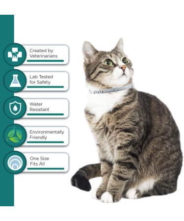 Premium Plant Based Flea and Tick Collar for Cat - Waterproof, Natural Prevention & Protection for Small Kittens - 13.8in (2 Packs) + Free Comb - Buy Online on GoSupps.com