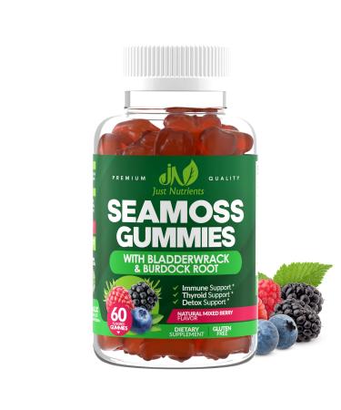 Sea Moss Gummies with Bladderwrack and Burdock Root - Natural Irish Sea Moss for Immune, Thyroid and Detox Support - Extra Strength, Great Tasting - Gluten-Free, Vegan - 60 Gummies 60 Count (Pack of 1)