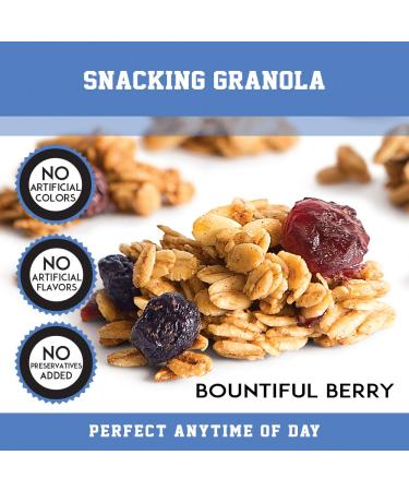 Creative Snacks Bountiful Berry Granola Clusters - 12oz | Delicious Snack & Cereal Option - Buy Online on GoSupps.com