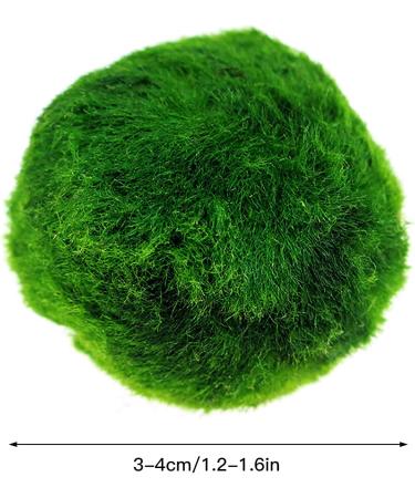 6Pcs Moss Balls Natural Green Moss Balls Live Aquarium Plants 1.2-1.6 inch Artificial Seaweed Ball Plants Water Grass Shrimp Water Grass Balls for Fish Tank Terrarium - Buy Online on GoSupps.com
