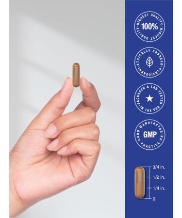 Horb ach PQQ Supplement 40 mg | 120 Capsules | Maximum Strength | Non-GMO and Gluten Free Supplement | Pyrroloquinoline Quinone Disodium Salt - Buy Online on GoSupps.com