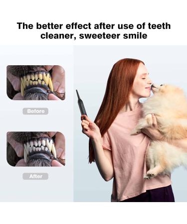 Dog Teeth Cleaning Tools with LED Light 3 Modes Dog Plaque Tartar Remover for Teeth Detachable Teeth Cleaning Kit for Dogs Cats Grey - Buy Online on GoSupps.com