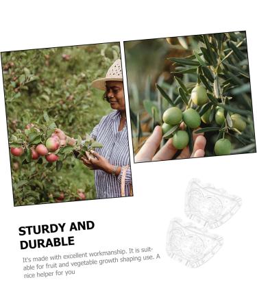 OFFSCH 2pcs Ingot Shaped Mold Vegetables Watermelon Growing Mold Vegetable Growing Molds Accessories Gourd - Buy Online on GoSupps.com