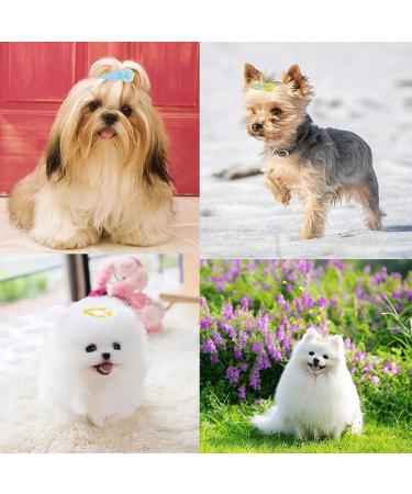 Shanrya Dog Pegs - Easy to Carry Plastic Dog Pegs for Parties | International Shipping Available - Buy Online on GoSupps.com
