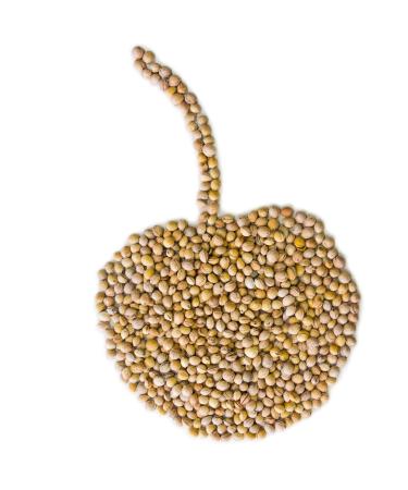 10 kg loose cherry nuclei cherry stones
