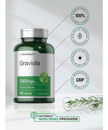 Horb ach Graviola Capsules | 2000 mg | 120 Count | Non-GMO Gluten Free | Soursop (Annona Muricata) - Buy Online on GoSupps.com