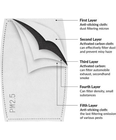 Debrief Me USA Certified PM2.5 Mask Filters (30 Pcs) for Face Masks - Buy Online on GoSupps.com