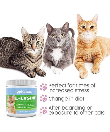 Alpha Paw Cat Lysine Supplement - 8oz/225g - Immune & Respiratory Support - 5-10 Months Supply - Buy Online on GoSupps.com