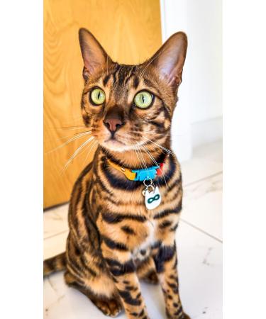 Kittyrama Reflective Cat Pendant - Waterproof & Secure | Perfect for Reflective Cat Collars | Shop Silver Ninja & More! - Buy Online on GoSupps.com