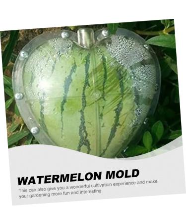 BRIGHTFUFU Fruit Shaping Molds Vegetables Tool Watermelon Shaper Mold Gardening Supplies Big Rod Ginseng Fruit Strawberry Transparent 17x17cm - Buy Online on GoSupps.com