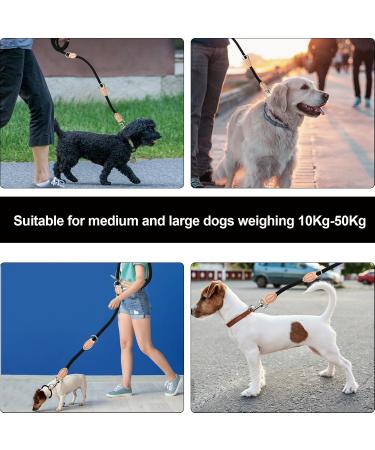 2m Durable Dog Leash with 2 Carabiners - Nylon Double Lined Training Line for Small Medium & Large Dogs | Portable Exercise Leash in Blue - Buy Online on GoSupps.com