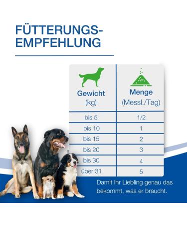 Nutrilabs Colofor Powder for Dogs 400g - Nutritional Supplement for Dog Diarrhea with Bentonite L-Glutamine & Prebiotics - Former Estifor Powder - Buy Online on GoSupps.com