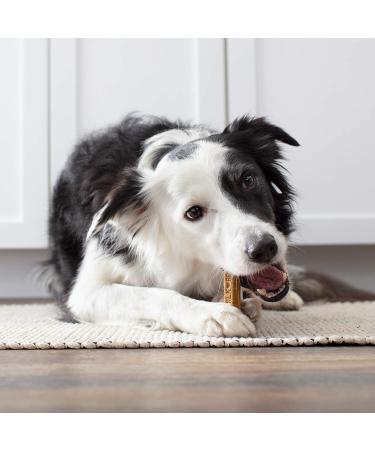 Milk-Bone Brushing Chews Medium Dog Dental Dog Treats 267g - Buy Online on GoSupps.com