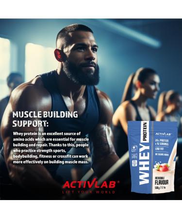 ActivLab Whey Protein 500g - 65% Whey Sugar-Free & Fat-Free | Muscle Growth 16 Portions BCAA - Chocolate Flavor - Buy Online on GoSupps.com
