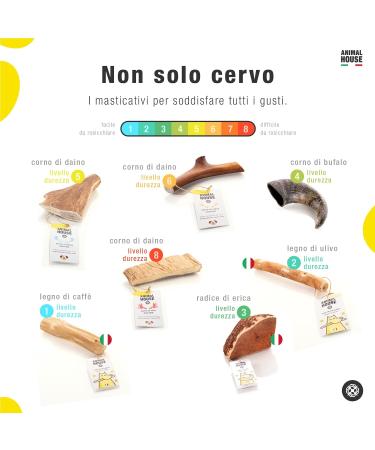 Animal House Whole Deer Antlers for Dogs - 100% Natural Chews for Mouth Hygiene - Durable & Strong - All Sizes (M) Available - Buy Online on GoSupps.com