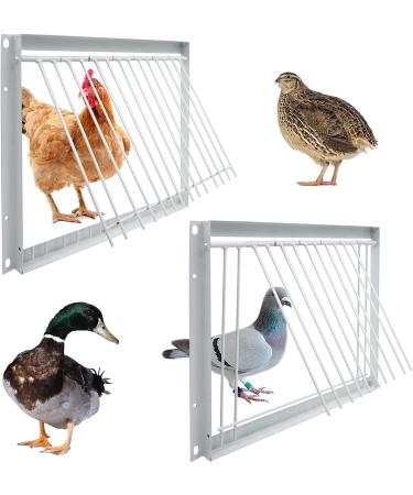 Junniu 11.8in Pigeon Entrance Door One Way Trap for Birdcages - Bird Breeding Supplies & Racing Supply - Buy Online on GoSupps.com