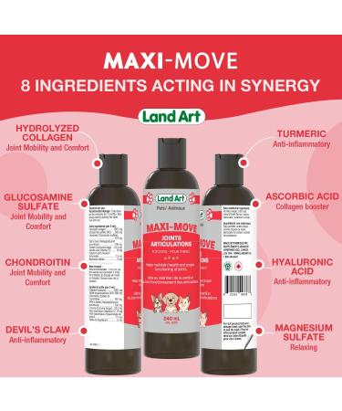 Maxi-Move Joints Supplement for Pets for Cats and Dogs - Natural Formula with Collagen and Glucosamine with Anti-Inflammatory Extracts Natural Beef Flavor - 240ml Made in Canada - Buy Online on GoSupps.com