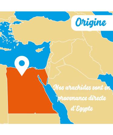 Organic Salt Free Peanuts Grilled Peanuts 250g | 100% Natural Peanuts | Jumbo Peanuts | Healthy & Energizing Snack | Non-GMO | Ideal for Vegetarians & Vegans | BASE ORGANIC FOOD - Buy Online on GoSupps.com