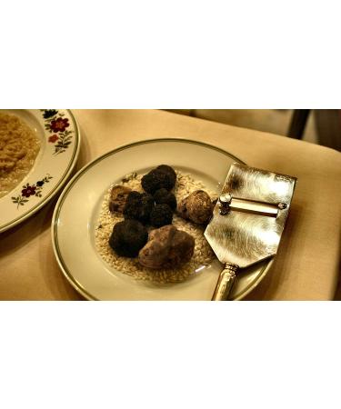 Black Summer Truffle Tuber aestivum Gourmet Sauce 170g - Ideal for Meat, Grilled Bread, Omelets, Pasta, Risotto, Sushi - Buy Online on GoSupps.com
