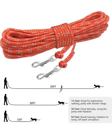 Ranypet 15m Reflecting Long Line for Cats & Small Animals - Safe Durable Leash in Orange for Kittens Puppies & Rabbits - Buy Online on GoSupps.com