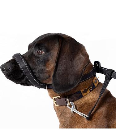 Dog Head Collar All in one Headcollar Lead No-Pull Head Collar for Dogs No Pull Training Tool for Dogs on Walks Adjustable Dog Lead 2m for Small Medium and Large Dogs