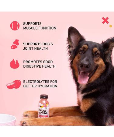 Natural Wolf Spring Dog Food Supplement for Adult Dogs | Skin, Coat & Joint Support | Digestive Health Multivitamin with Omega-3 | Plant Based Additive | 10oz (Pack of 24) - Buy Online on GoSupps.com