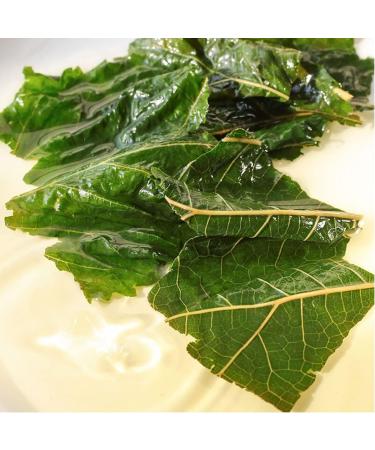 Mulberry Leaf Tea Chinese tea Mulberry Leaf Tea after frost Fresh mulberry leaves 7.1 oz 250g - Buy Online on GoSupps.com