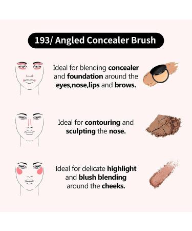 Small Angled Concealer Brush for Under Eye Makeup & Face Blending - Vegan Professional Makeup Tool - Buy Online on GoSupps.com
