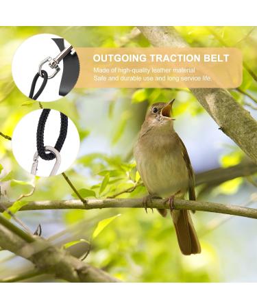 Generic Pigeon Harness Parrot Bird Strap- Adjustable Bird Vest& Harness Kit/Outdoor Parrot Flight Training Rope/Pet Outdoor Leash Suitable for Parrot Lovebird Cockatiel Birds ( M ) Macaw Harness - Buy Online on GoSupps.com