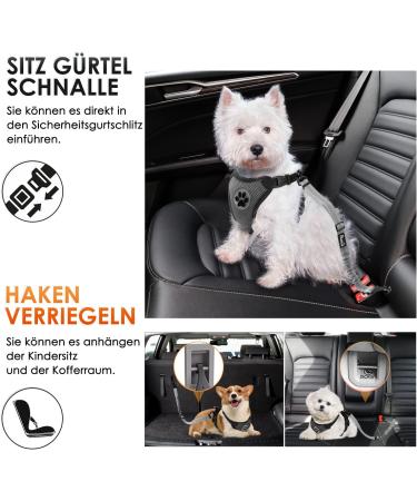 Eyin 3-in-1 Dog Seat Belt | Reflective Elastic Nylon | Universal Fit for All Dog Breeds & Car Seats | 70cm Gray - Buy Online on GoSupps.com