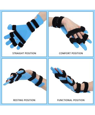 Finger Training Board Universal Stroke Rehabilitation Good Toughness Finger Splint Fingerboard Hand Wrist Training for Hemiplegia for Stroke - Buy Online on GoSupps.com