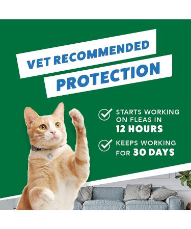 Advantage II Flea Treatment for Kittens - 2 Pack, 0.041 LB - Buy Online on GoSupps.com