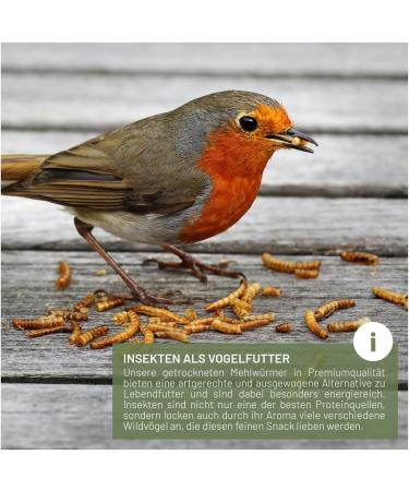 Buy Wild Animal Love Noble Mealworms 5L | Dried Mealworms for Birds & Hedgehogs | Premium Insect Food for Garden Birds - Buy Online on GoSupps.com
