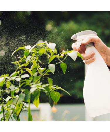 PLANTAWA Long Lasting Neem Oil Plant & Natural Ingredients 100% Pure Virgin Cold Pressed for Cosmetics Skin Hair & Plants Non-Toxic (1 Liter) - Buy Online on GoSupps.com