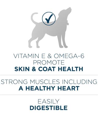 Purina ONE +Plus Dry Dog Food Skin & Coat with Salmon - 1.6 kg Bag 1.6 kg (Pack of 1) - Buy Online on GoSupps.com