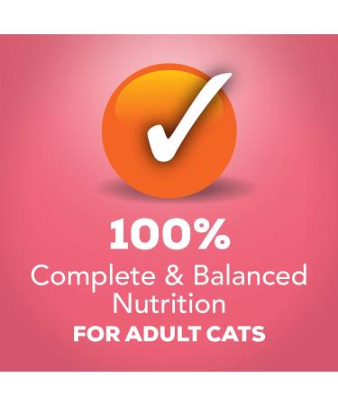 Purina Friskies Extra Gravy Salmon Pate Wet Cat Food 5.5 oz. Cans (Pack of 24) - Buy Online on GoSupps.com