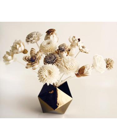 Exotic Plawanature Set of 25 Mixed Sola Wood Flowers & Reed Diffuser | Premium Home Fragrance Oil - Buy Online on GoSupps.com