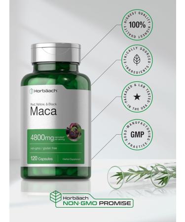 Horb ach Maca Root Capsules 4800mg - High Potency Extract for Men and Women - Non-GMO, Gluten Free - 120 Capsules - Buy Online on GoSupps.com