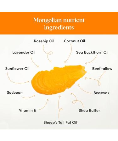 Handmade Sea Buckthorn Oil Body Butter - All-Natural Ultra Hydrating Skin Care Balm with Beef Tallow Shea Rosehip & Coconut Oil - 3.53 oz - Soothing Cream for Dry Skin - Buy Online on GoSupps.com