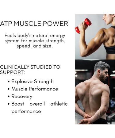 Bricker Labs Creatine Monohydrate Powder 5g Pure Ultra-Fine Creatine per Serving Muscle Growth Strength Endurance & Focus Unflavored 60 Servings Workout & Cognitive Support for Men & Women - Buy Online on GoSupps.com