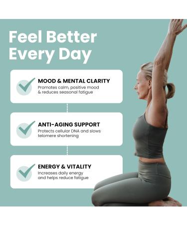 Luma Nutrition D3 + K2 Vitamin 10000 IU - Bone and Heart Health Supplement - Max Strength Immune Support and Calcium Absorption - 60 Softgels 1 Count (Pack of 60) - Buy Online on GoSupps.com