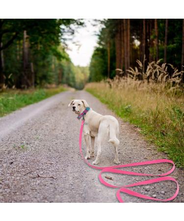 Wolfone 3m Pink Drag Line Leash for Dogs - Waterproof Durable Training Leash for Recall Swimming Camping & Beach Walks - Buy Online on GoSupps.com