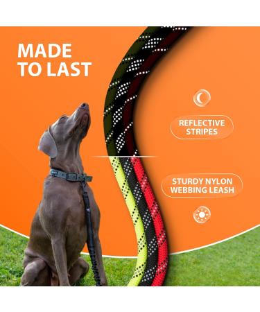 Buy Reflective Bungee Dog Leash for Large & Medium Dogs | Jerk Dampers & Elastic Walking Leash - Black - Buy Online on GoSupps.com