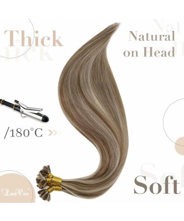 Buy Laavoo Keratin Bonding Extensions - Real Hair U Tip 40cm Brown & Blonde Highlights | 50g 1g/s #P8/24 - Buy Online on GoSupps.com
