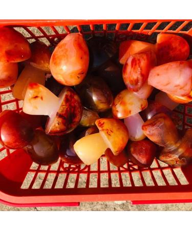 Natural Crystal Rough Crystals Stones 2 INCHES Natural Agate Quartz Carved Carnelian Crystal Mushroom Stone 1PC (Color : Light Grey Size : 10pc) 10pc Light Grey