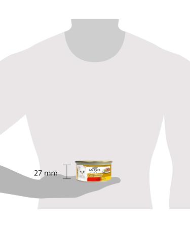 Purina Gourmet Gold Double Pleasure Wet Cat Food - Beef & Chicken 24 Cans (85g) - Premium Cat Nutrition - Buy Online on GoSupps.com